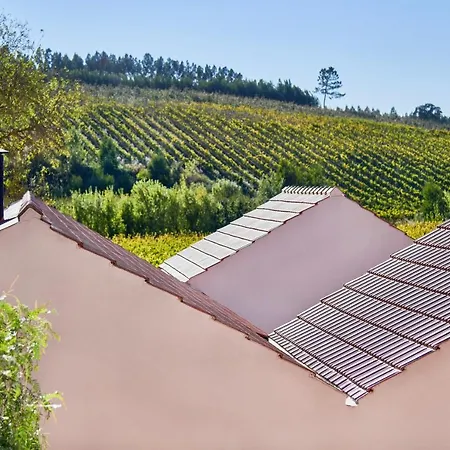 Quinta Do Porto Nogueira (adults Only) Alguber